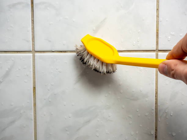 Best Fast Mold Removal  in Energy, IL